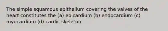 The simple squamous epithelium covering the valves of the heart constitutes the (a) epicardium (b) endocardium (c) myocardium (d) cardic skeleton