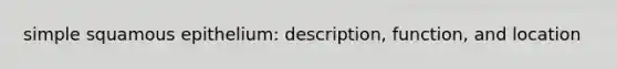 simple squamous epithelium: description, function, and location