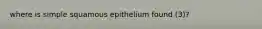 where is simple squamous epithelium found (3)?