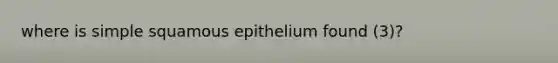 where is simple squamous epithelium found (3)?