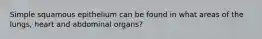 Simple squamous epithelium can be found in what areas of the lungs, heart and abdominal organs?