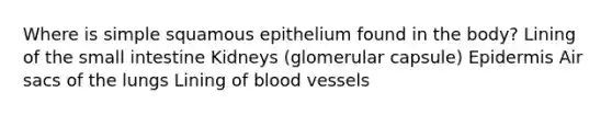 Where is simple squamous epithelium found in the body? Lining of the small intestine Kidneys (glomerular capsule) Epidermis Air sacs of the lungs Lining of blood vessels