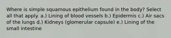 Where is simple squamous epithelium found in the body? Select all that apply. a.) Lining of blood vessels b.) Epidermis c.) Air sacs of the lungs d.) Kidneys (glomerular capsule) e.) Lining of the small intestine