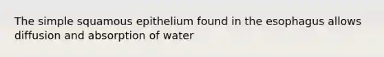 The simple squamous epithelium found in the esophagus allows diffusion and absorption of water