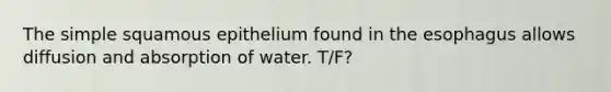 The simple squamous epithelium found in <a href='https://www.questionai.com/knowledge/kSjVhaa9qF-the-esophagus' class='anchor-knowledge'>the esophagus</a> allows diffusion and absorption of water. T/F?