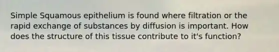 Simple Squamous epithelium is found where filtration or the rapid exchange of substances by diffusion is important. How does the structure of this tissue contribute to it's function?