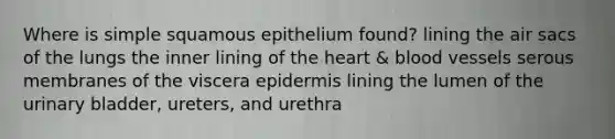 Where is simple squamous epithelium found? lining the air sacs of the lungs the inner lining of the heart & blood vessels serous membranes of the viscera epidermis lining the lumen of the urinary bladder, ureters, and urethra