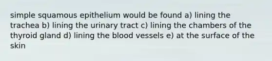 simple squamous epithelium would be found a) lining the trachea b) lining the urinary tract c) lining the chambers of the thyroid gland d) lining the blood vessels e) at the surface of the skin