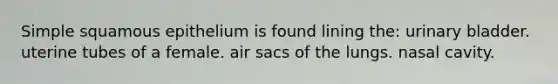 Simple squamous epithelium is found lining the: <a href='https://www.questionai.com/knowledge/kb9SdfFdD9-urinary-bladder' class='anchor-knowledge'>urinary bladder</a>. uterine tubes of a female. air sacs of the lungs. nasal cavity.