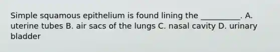 Simple squamous epithelium is found lining the __________. A. uterine tubes B. air sacs of the lungs C. nasal cavity D. urinary bladder