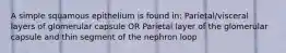 A simple squamous epithelium is found in: Parietal/visceral layers of glomerular capsule OR Parietal layer of the glomerular capsule and thin segment of the nephron loop