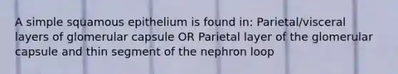 A simple squamous epithelium is found in: Parietal/visceral layers of glomerular capsule OR Parietal layer of the glomerular capsule and thin segment of the nephron loop