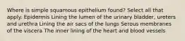 Where is simple squamous epithelium found? Select all that apply. Epidermis Lining the lumen of the urinary bladder, ureters and urethra Lining the air sacs of the lungs Serous membranes of the viscera The inner lining of the heart and blood vessels