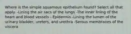 Where is the simple squamous epithelium found? Select all that apply. -Lining the air sacs of the lungs -The inner lining of the heart and blood vessels - Epidermis -Lining the lumen of the urinary bladder, ureters, and urethra -Serous membranes of the viscera