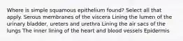 Where is simple squamous epithelium found? Select all that apply. Serous membranes of the viscera Lining the lumen of the urinary bladder, ureters and urethra Lining the air sacs of the lungs The inner lining of the heart and blood vessels Epidermis