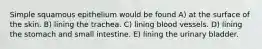 Simple squamous epithelium would be found A) at the surface of the skin. B) lining the trachea. C) lining blood vessels. D) lining the stomach and small intestine. E) lining the urinary bladder.