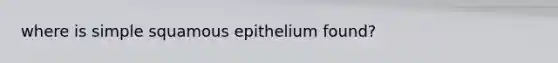 where is simple squamous epithelium found?