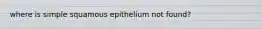 where is simple squamous epithelium not found?