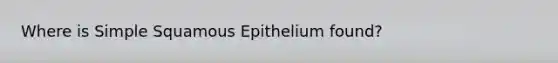 Where is Simple Squamous Epithelium found?