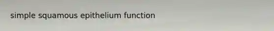 simple squamous epithelium function