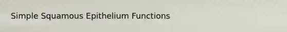 Simple Squamous Epithelium Functions