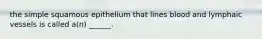 the simple squamous epithelium that lines blood and lymphaic vessels is called a(n) ______.