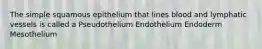 The simple squamous epithelium that lines blood and lymphatic vessels is called a Pseudothelium Endothelium Endoderm Mesothelium