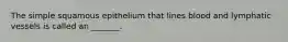 The simple squamous epithelium that lines blood and lymphatic vessels is called an _______.