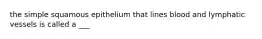 the simple squamous epithelium that lines blood and lymphatic vessels is called a ___