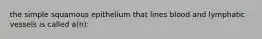 the simple squamous epithelium that lines blood and lymphatic vessels is called a(n):