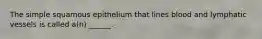 The simple squamous epithelium that lines blood and lymphatic vessels is called a(n) ______.