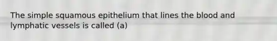 The simple squamous epithelium that lines <a href='https://www.questionai.com/knowledge/k7oXMfj7lk-the-blood' class='anchor-knowledge'>the blood</a> and <a href='https://www.questionai.com/knowledge/ki6sUebkzn-lymphatic-vessels' class='anchor-knowledge'>lymphatic vessels</a> is called (a)