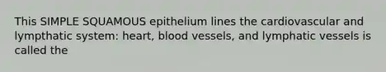 This SIMPLE SQUAMOUS epithelium lines the cardiovascular and lympthatic system: heart, blood vessels, and lymphatic vessels is called the