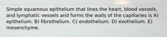 Simple squamous epithelium that lines the heart, blood vessels, and lymphatic vessels and forms the walls of the capillaries is A) epithelium. B) fibrothelium. C) endothelium. D) exothelium. E) mesenchyme.