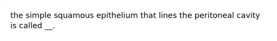 the simple squamous epithelium that lines the peritoneal cavity is called __.