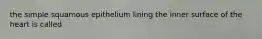 the simple squamous epithelium lining the inner surface of the heart is called