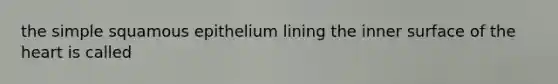 the simple squamous epithelium lining the inner surface of the heart is called