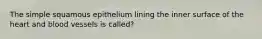 The simple squamous epithelium lining the inner surface of the heart and blood vessels is called?