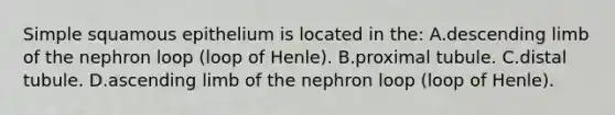 Simple squamous epithelium is located in the: A.descending limb of the nephron loop (loop of Henle). B.proximal tubule. C.distal tubule. D.ascending limb of the nephron loop (loop of Henle).