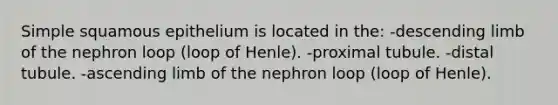 Simple squamous epithelium is located in the: -descending limb of the nephron loop (loop of Henle). -proximal tubule. -distal tubule. -ascending limb of the nephron loop (loop of Henle).