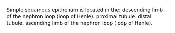 Simple squamous epithelium is located in the: descending limb of the nephron loop (loop of Henle). proximal tubule. distal tubule. ascending limb of the nephron loop (loop of Henle).