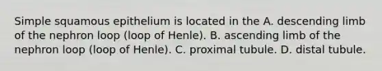 Simple squamous epithelium is located in the A. descending limb of the nephron loop (loop of Henle). B. ascending limb of the nephron loop (loop of Henle). C. proximal tubule. D. distal tubule.