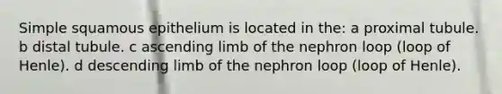 Simple squamous epithelium is located in the: a proximal tubule. b distal tubule. c ascending limb of the nephron loop (loop of Henle). d descending limb of the nephron loop (loop of Henle).