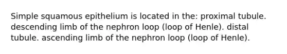 Simple squamous epithelium is located in the: proximal tubule. descending limb of the nephron loop (loop of Henle). distal tubule. ascending limb of the nephron loop (loop of Henle).