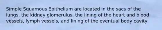 Simple Squamous Epithelium are located in the sacs of the lungs, the kidney glomerulus, the lining of the heart and blood vessels, lymph vessels, and lining of the eventual body cavity