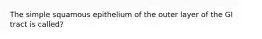 The simple squamous epithelium of the outer layer of the GI tract is called?