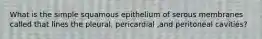 What is the simple squamous epithelium of serous membranes called that lines the pleural, pericardial ,and peritoneal cavities?