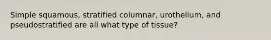 Simple squamous, stratified columnar, urothelium, and pseudostratified are all what type of tissue?