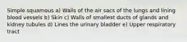 Simple squamous a) Walls of the air sacs of the lungs and lining blood vessels b) Skin c) Walls of smallest ducts of glands and kidney tubules d) Lines the urinary bladder e) Upper respiratory tract