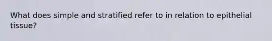 What does simple and stratified refer to in relation to epithelial tissue?